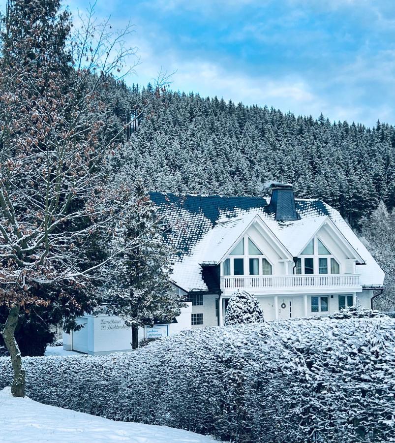 Landhaus Muehlenberg Willingen  Bagian luar foto